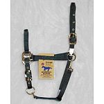  This superb fitting halter is constructed from 3/4' premium nylon, double and triple thick, with brass tips. Fully adjustable at the pole and chin. 