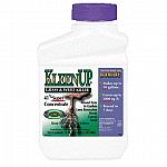 Kills all unwanted weeds and grasses. Can re-seed in 7 days after application. Great for preparing flower beds, vegetable and ornamental garden sites and renovating lawns. Will not leach. Becomes inactivated upon contact with the soil. Systemic-action kil