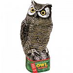 This earth friendly owl will scare away a variety of pests and pigeons from your garden. Owl is made to last for years and is lightweight. May also be used in a garden or patio area as an ornament. Display on a pole or hang in a tree.