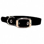 Deluxe Single Thick Attractive Nylon Dog Collar in multiple colors. Tongue Buckle. Made by Hamilton Pet - the leader in dog collars. Classic style dog collar - almost indestructable. Perfect for keeping your pet in trendy colors.