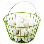 Perfect basket for collecting eggs from the backyard flock. Sturdy heavy-duty wire construction is vinyl coated to prevent breakage. Holds up to 24 eggs. Rust resistant.