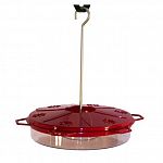 Attract a variety of hummingbirds to your yard or garden with the Audubon Classic Hummingbird Feeder. With six feeding stations and a 12 ounce nectar capacity, this feeder will make your yard popular with the hummingbirds!
