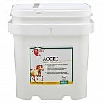 Accel Daily Equine Supplement helps to supplement your horse's diet with a full range of nutrients that makes this supplement very beneficial to your horse. Great for all types of horses and contains all types of water and fat soluble vitamins.
