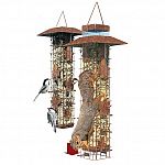 This Squirrel-be-gone feeder features 6 feeding ports that have sturdy metal perches that allow birds to feed comfortably; but, when the squirrels perch on them, their weight causes the metal casing to slip down, completely blocking the ports.