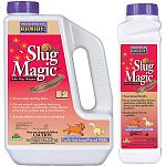 Patented, all weather formula makes slugs disappear! Biodegradable and safe for use around pets and wildlife, worms & beneficials. Slug Magic can be used in fruit and vegetable gardens up to the day of harvest.