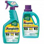 Prevents black spot, powdery mildew and other fungal diseases on houseplants, shrubs, flowers, vegetables, and trees. Kills eggs, larvae and adult stages of insects including aphids, scale, whiteflies, beetles and other listed pests