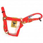 Average adjustable chain halter for horses 800 to 1100 pounds.
