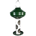 Vari-Craft Avian Series Bird Feeders offer a manufacturers lifetime Warranty Against Squirrel Damage. 3 gallon 18lb. capacity. Uniquely styled with a bright green top and white tube, this will look fashionable in your backyard.