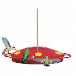 This hummingbird feeder features a built-in ant moat /  Will not drip in hot weather / 16 oz. capacity / Full circle perch. Shatter proof construction and the top removes for easy filling and cleaning. Practical Hummingbird feeder - yet pretty.