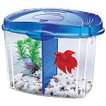 This half gallon starter kit takes up little space, so its ideal for any room or decor. Kit includes: aquarium and lid with feeding door, betta food and betta bowl plus sample, betta divider and plant and gravel.