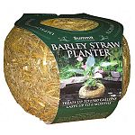Plant House plants or other non-submersible species into the planter and release it in the pond. Improve your water quality with this attractive floating planter. Barley straw planters act as a natural filter keeping the water in your pond clean.