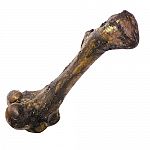 Beef femur bone. Monster femur bone for dogs. Excellent for larger breeds.