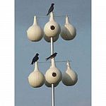 The Telescoping Galvanized Steel Purple Martin Gourd Pole is 15 feet long and designed to hold eight purple martin gourds. Pole holds four gourds over another set of four gourds. Made in the USA of aluminum to be rust resistant. Pole only.
