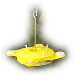 This classic Woodlink Butterfly Feeder is constructed of plastic with a metal hook. It has locations for access to nectar and banana slices. Holds 12 oz. of nectar and is 2 in. high x 11 in. diameter. Great for attracting butterflies. A butterfly favorite