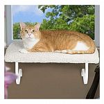 Perch for cats in a window. Give your kitten the perfect perch for surveying her surroundings . The Window Perch installs on your window sill in minutes