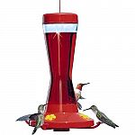 Perky-Pet Pinch-Waist Glass Hummingbird Feeder features 4 feeding ports, a full-circle perch and holds 16 ounces of nectar. Use the included hanger to hang it from a branch or hook