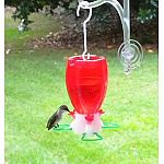 This convenient and charming hummingbird feeder is so easy to use for any hummingbird watcher. Filled with nectar powder, so all it needs is some water to make the nectar. Feeder has three ports to feed more than one hummingbird.