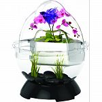Includes: base, dome, bubble tunnel, silicone caps and tray For creating betta fish, or other small freshwater fish & plant environments Decorative piece for homes, offices or classrooms Easy to maintain & set up Fun project for all ages