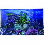3 dimensional coral, rocks, plants, flowers and weeds give aquariums a true under water feel Illuminates under lights Durable, coated plastic makes backround easy to clean