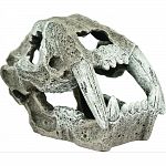 A boney skull replica of an aggressive hunter the saber tooth tiger. This carnivorous predators remains will make your tank look like its right out of the cenozoic era Provides a great place for fish to explore.