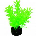 Designed in bright fluorescent colors, this gravel base plant anchors nicely Soft plastic leaves & branches that are sturdy enough to stand up on their own, but soft enough to sway in the water. Safe for fresh or salt water