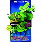 Assortment includes 1 each of the following: broad lily-leafwith flowering buds - large, flowering willow leaf - medium Flowering wild fern cluster - medium