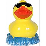 Maybe not so squeaky, but defintely super cute, these rubberduckies are great for your whimsically themed tank. Bright colors and silly accessories will put a smile on anyones face. Safe for all aquariums & terrariums.