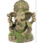 Ganesha is widely revered as the remover of obstacles, the patron of arts and sciences and the deva of intellect and wisdom A subtle covering of moss denotes the lengthy time this statue has been untouched Safe for all aquariums & terrariums.