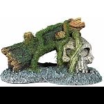 Undiscovered for many decades, a creepy skull with the addition of thick moss is perfect for any habitat Under chamber provides safety and cover for tank inhabitants Safe for all terrariums & aquariums