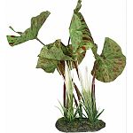 This gravel base plant will anchor nicely in any aquarium or terrarium Stiff yet soft leaves & branches are realistic & sturdy enough to stand up on their own, but soft enough to sway in the water Great for reptile or terrarium tanks Safe for fresh or sal