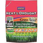 Special blend for heat and drought areas. Aggressive growth for fast repair and rejuvenation.