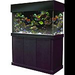 Our model 100 has the same footprint as the model 80 but is 4 inches taller The extra height makes aquascaping a breeze This a great tank for community fish and saltwater fish too The pro version comes standard with 2 drains and 2 returns - can you say fl