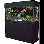 If you are looking for world class, this is the aquarium foryou Our model 140 offers 20 inch width and a 27 inch height, making this a perfect large aquarium The pro version features 2 drains and 2 returns