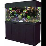 Our cabinets are made with birch plywood for durability They feature hidden hinges and cover the bottom trim of the aquarium