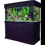 Our cabinets are made with birch plywood for durability. They feature hidden hinges and cover the bottom trim of the aquarium