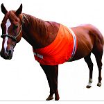 Fits horses 600 to 1000 pounds Keep your horse visible to others and you 3m reflective strip provides low light visibility Exclusive front closure for easy wearability Made in the usa
