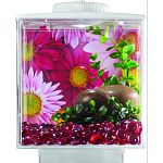 Easy set up 6 w x 7 h x 6 d acryclic cube. Built in ventilation and feeding holes. Stylish elevated base. Display anywhere. Battery powered led light. Customize your background. Add your own photo. For one betta. Decor, background, batteries and fish not