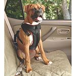 The Solvit Pet Vehicle Safety Harness is designed with your pet s safety and comfort in mind. Heavy-duty straps attach to a fully-padded, fleece-lined safety vest, and we use only FULL METAL connectors at all the load-bearing points - no plastic buckles
