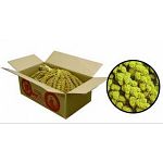 Treat for small caged bird.  Buy Millet Spray in bulk and save. 100% Millet spray - high quality / no filler.