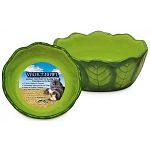 The designer Vege-T-Bowl Green Cabbage for Small Pets by Super Pet is a fun bowl to serve your pet's food. Made of ceramic, this bowl is easy to clean. Especially designed for your little pet's treats and food and adds a touch a fun at mealtime.