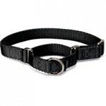 Use with a leash or with your hand, this martingale style collar tightens to give greater control. Reduces the risk of a dog backing out and escaping. Sized differently than other collars, measurement is taken at the top of the neck, directly behind the e