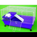 Kit ready just add food and bedding, complete with bowl, bottle, shelf, ramp and rolling casters Deep plastic base and an easy snap-on top made of durable powder coated wire Great for guinea pigs, rabbits, ferrets, chinchilla