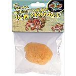 A great way for hermit crabs to exit deep water dishes sea sponges have natural minerals from the ocean essential to the lon. Also provides beneficial humidity to your Hermit Crab enclosure which is necessary for the long-term health of your Hermit Crab.