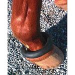 Fetlock Rubber Ring Prevents horse from stepping on its hoof and causing damage. Used either in the stable or during exercise. Imported.