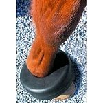 Aids in the prevention of capped elbows by keeping the horse’s hooves away from its elbow when lying down. Durable smooth rubber with nylon strap.  One size fits all. The durability of this boil boot will outlast competitors.