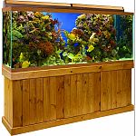 Constructed entirely of solid wood. Each stand and canopy is stained and finished with a waterproofing sealer that will protect them from splashes and water. Fits tank: 125 and 150 gallons. Canopies are available with full length doors that allow easy acc