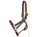 Gatsby Leather Company. This is the Classic Adjustable Leather Halter. Made of a supple, pre-conditioned leather. It is crafted in a 1 triple stitched leather on the cheeks, nose and chin.