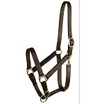 By Gatsby Leather Company. Leather Stable Halter with snap. Beautifully crafted from a supple, pre-conditioned, 5/8 inch leather. It has a single buckle crown, adjustable chin, has a snap on one side.