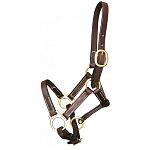 Beautifully crafted from supple, pre-conditioned 5/8 inch leather. It has a single buckle crown, adjustable chin and is great for every day turnaround. All of the hardware is solid brass.