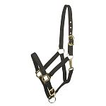 Horse halter with an adjustable crown and noseband. Comes with a high quality snap. It is designed for use on your horse for in the stable and when turned out.  Economical choice for everyday horse halter. Choose color. Size: Average Horse